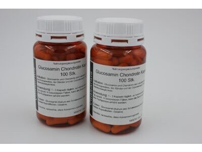 Glucosamin Chondrotin Kapseln 100 Stk., Vitasanus